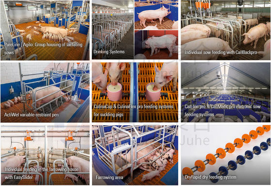 Schiebetür-Rollentür für Kühe, Rinder und Schweinefarmen