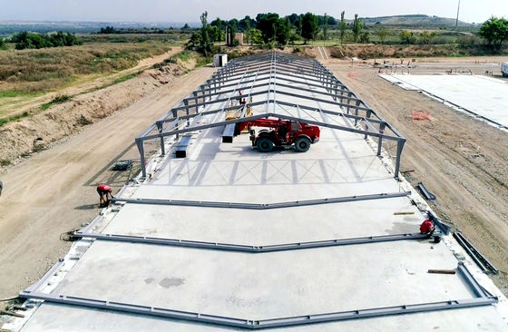 Stahlbau Fertigung von Geflügelfarmen mit Hühnerkäfigen und Metallschuppen