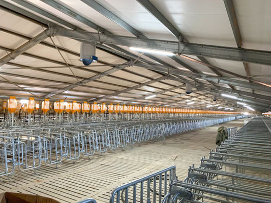 Hütte Haus Geflügelfarm Design mit Industriegebäude und C.Z-Form Stahlkanal