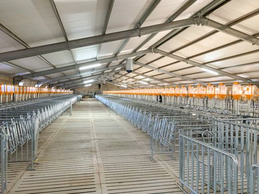 Hütte Haus Geflügelfarm Design mit Industriegebäude und C.Z-Form Stahlkanal