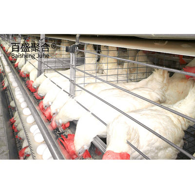 Eigene Farben Stahlkonstruktionen für Pferde Stall Scheune Pläne in Prefab Geflügelfarm