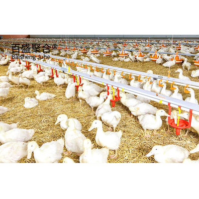Eigene Farben Stahlkonstruktionen für Pferde Stall Scheune Pläne in Prefab Geflügelfarm