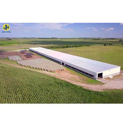 Schwere Stahlkonstruktion Geflügelfarm Hühnerhaus mit Fenster und Aluminium-Legierungsfenster