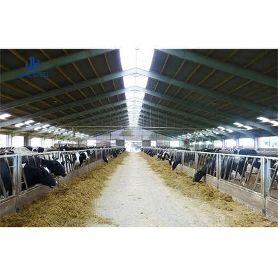 AiSi Standard Schweiß Milchviehfarm Schuppenhaus mit individueller Verarbeitung