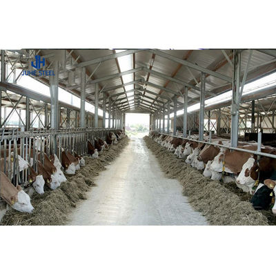 Gemäß der angepassten Farbe Leichtstahlkonstruktion Ziegenfarm Haus Schafschuppen Rinderfarm Kuhschuppen Bau