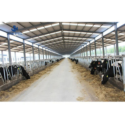 Moderne Ziegenhütte Vorgefertigte Stahlkonstruktion Kuhstall Farm mit Schweißdienst