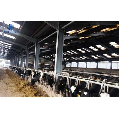 Vorgefertigtes Stahl-Kuhmilch-Farmhaus mit Sandwich-Panel-Dach und Rolltür