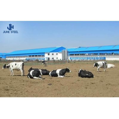 Vorgefertigtes Stahl-Kuhmilch-Farmhaus mit Sandwich-Panel-Dach und Rolltür