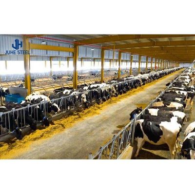 Vorgefertigtes Stahl-Kuhmilch-Farmhaus mit Sandwich-Panel-Dach und Rolltür