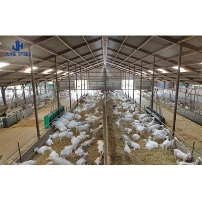 Langfristige Gitterstruktur Vorgefertigtes modernes Gewächshaus Schuppen für Broiler Hühnerzucht