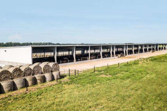 Beschichtete vorgefertigte Struktur aus Leichtstahl