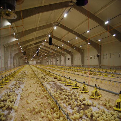 Q235/Q345 Niedrigkohlenstoffstahl Geflügelfarm Gebäude für Kuh Ziege Pferd Arena Rinder Schafe