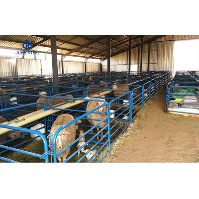 Stahl-Metall-Schuppen Kuh-Schweinehäuser Fertigbau Geflügelhaus Rolltürenbau